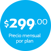 plan comercial 12 de hosting y desarrollo web por 299 pesos al mes