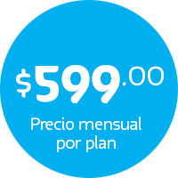 plan comercia 100 de hosting y desarrollo web por 599 pesos al mes